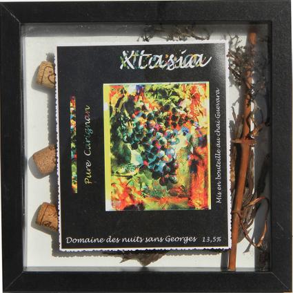 Xtasia