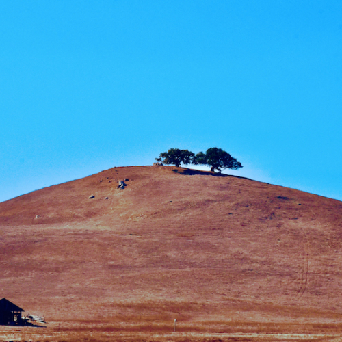 Sonoma